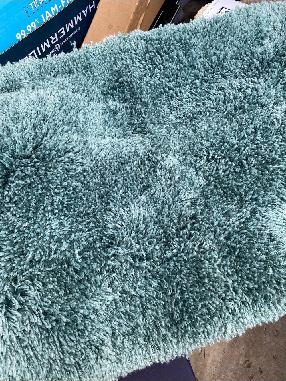 Sonoma Plush Shag Door bath Mat in Teal